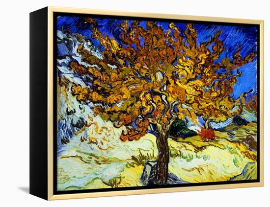 Mulberry Tree, c.1889-Vincent van Gogh-Framed Premier Image Canvas