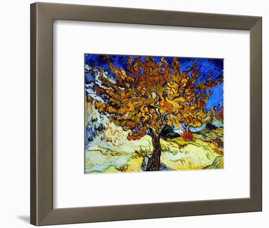 Mulberry Tree, c.1889-Vincent van Gogh-Framed Premium Giclee Print