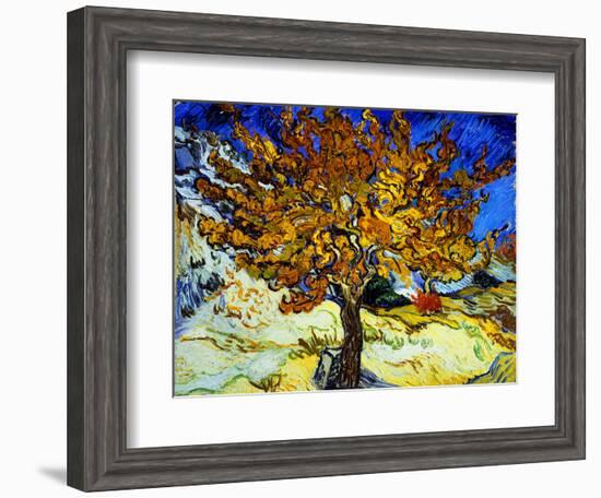 Mulberry Tree, c.1889-Vincent van Gogh-Framed Premium Giclee Print