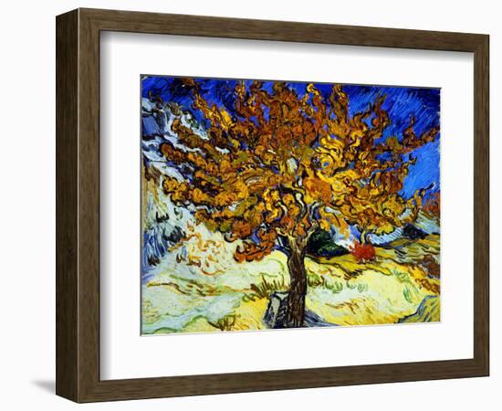 Mulberry Tree, c.1889-Vincent van Gogh-Framed Premium Giclee Print