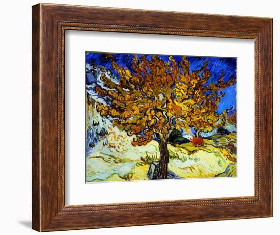 Mulberry Tree, c.1889-Vincent van Gogh-Framed Premium Giclee Print