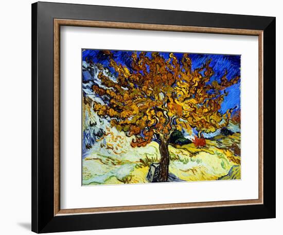 Mulberry Tree, c.1889-Vincent van Gogh-Framed Premium Giclee Print