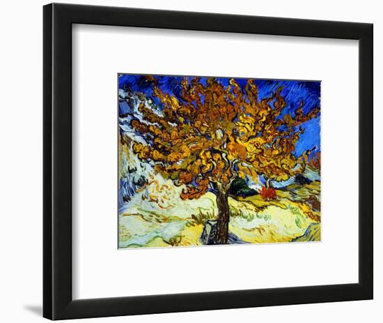 Mulberry Tree, c.1889-Vincent van Gogh-Framed Premium Giclee Print