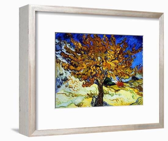 Mulberry Tree, c.1889-Vincent van Gogh-Framed Premium Giclee Print