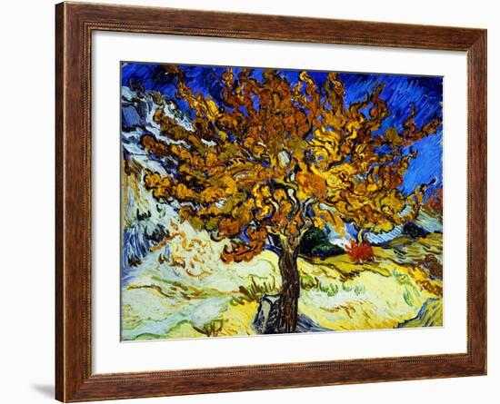 Mulberry Tree, c.1889-Vincent van Gogh-Framed Premium Giclee Print