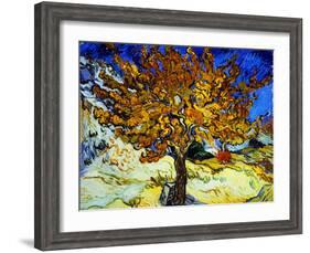 Mulberry Tree, c.1889-Vincent van Gogh-Framed Giclee Print
