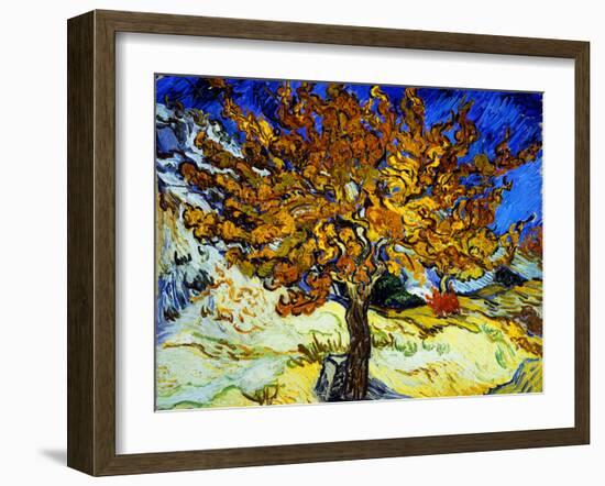 Mulberry Tree, c.1889-Vincent van Gogh-Framed Giclee Print