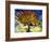 Mulberry Tree, c.1889-Vincent van Gogh-Framed Giclee Print