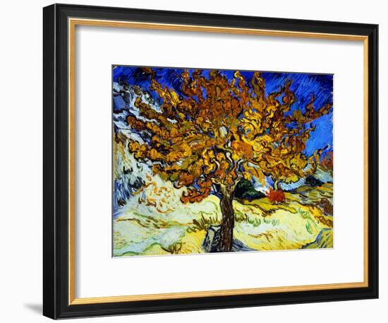 Mulberry Tree, c.1889-Vincent van Gogh-Framed Giclee Print