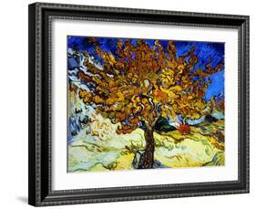 Mulberry Tree, c.1889-Vincent van Gogh-Framed Giclee Print