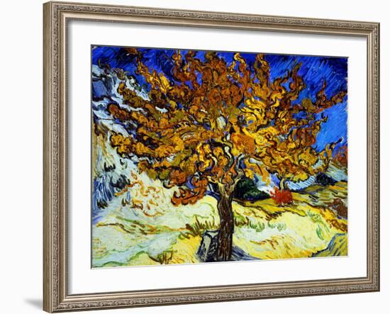 Mulberry Tree, c.1889-Vincent van Gogh-Framed Giclee Print