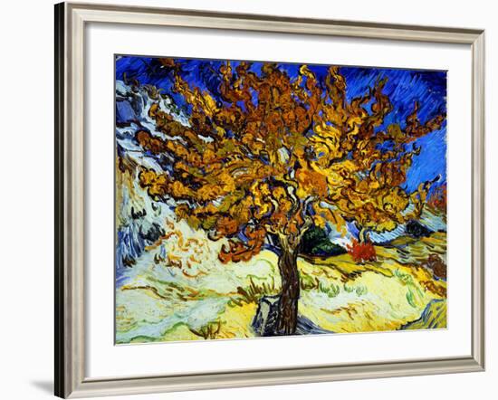 Mulberry Tree, c.1889-Vincent van Gogh-Framed Giclee Print