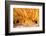 Mule Canyons House on Fire Ruin, Anasazi Ruins, Cedar Mesa, Utah-Richard Wright-Framed Photographic Print