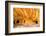 Mule Canyons House on Fire Ruin, Anasazi Ruins, Cedar Mesa, Utah-Richard Wright-Framed Photographic Print