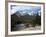 Mule Deer, Bow Valley Parkway by the Bow River, Near Lake Louise, Unesco World Heritage Site-Pearl Bucknall-Framed Photographic Print