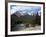 Mule Deer, Bow Valley Parkway by the Bow River, Near Lake Louise, Unesco World Heritage Site-Pearl Bucknall-Framed Photographic Print