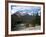 Mule Deer, Bow Valley Parkway by the Bow River, Near Lake Louise, Unesco World Heritage Site-Pearl Bucknall-Framed Photographic Print