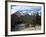 Mule Deer, Bow Valley Parkway by the Bow River, Near Lake Louise, Unesco World Heritage Site-Pearl Bucknall-Framed Photographic Print