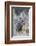 Mule deer buck, emerging from cover-Ken Archer-Framed Photographic Print