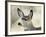 Mule Deer, Buck, Idaho, Usa-Gerry Reynolds-Framed Photographic Print