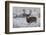 Mule Deer Buck, Late Autumn Snow-Ken Archer-Framed Photographic Print