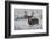 Mule Deer Buck, Late Autumn Snow-Ken Archer-Framed Photographic Print