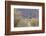 Mule Deer Buck-Ken Archer-Framed Photographic Print