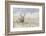 Mule Deer Buck-Ken Archer-Framed Photographic Print