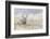 Mule Deer Buck-Ken Archer-Framed Photographic Print