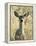 Mule Deer, Odocoileus Hemionus, Ucsc Campus Natural Reserve, Santa Cruz, California, Usa-Paul Colangelo-Framed Premier Image Canvas