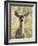 Mule Deer, Odocoileus Hemionus, Ucsc Campus Natural Reserve, Santa Cruz, California, Usa-Paul Colangelo-Framed Photographic Print