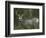 Mule Deer, Yellowstone National Park, Wyoming, USA-Joe & Mary Ann McDonald-Framed Photographic Print