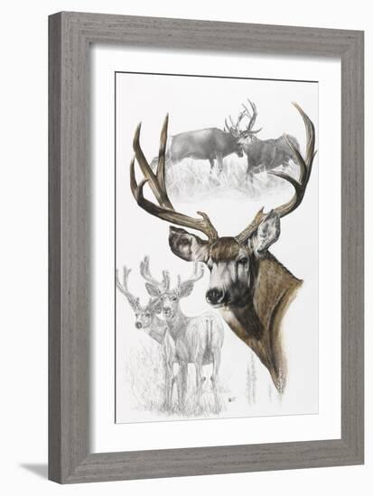 Mule Deer-Barbara Keith-Framed Giclee Print