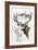 Mule Deer-Barbara Keith-Framed Giclee Print