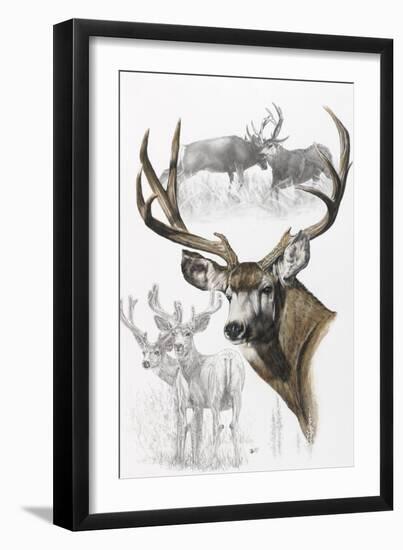 Mule Deer-Barbara Keith-Framed Giclee Print