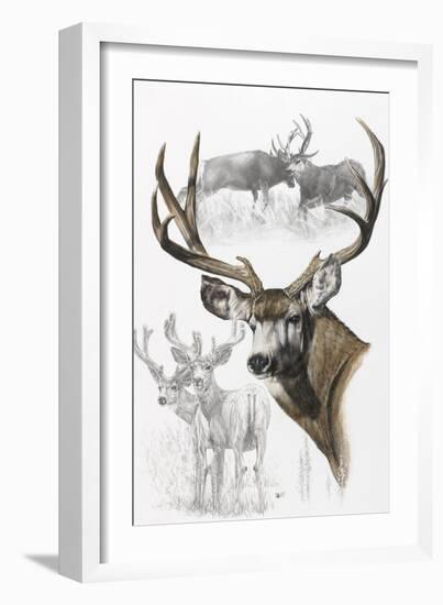 Mule Deer-Barbara Keith-Framed Giclee Print