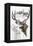 Mule Deer-Barbara Keith-Framed Premier Image Canvas