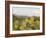 Mule Ears and Prickly Pear Cactus, Chisos Mountains, Big Bend National Park, Brewster Co., Texas, U-Larry Ditto-Framed Photographic Print