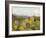 Mule Ears and Prickly Pear Cactus, Chisos Mountains, Big Bend National Park, Brewster Co., Texas, U-Larry Ditto-Framed Photographic Print