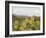 Mule Ears and Prickly Pear Cactus, Chisos Mountains, Big Bend National Park, Brewster Co., Texas, U-Larry Ditto-Framed Photographic Print