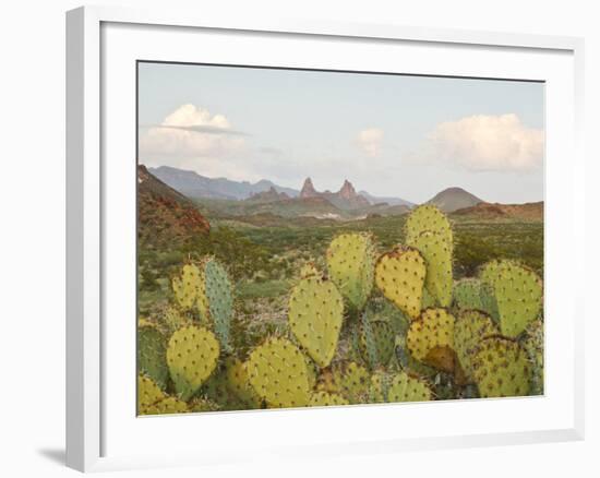 Mule Ears and Prickly Pear Cactus, Chisos Mountains, Big Bend National Park, Brewster Co., Texas, U-Larry Ditto-Framed Photographic Print