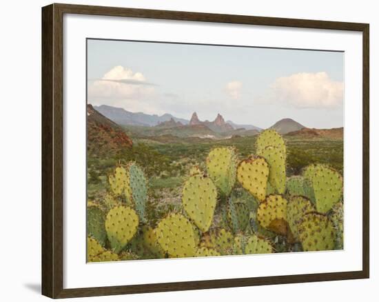 Mule Ears and Prickly Pear Cactus, Chisos Mountains, Big Bend National Park, Brewster Co., Texas, U-Larry Ditto-Framed Photographic Print