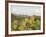 Mule Ears and Prickly Pear Cactus, Chisos Mountains, Big Bend National Park, Brewster Co., Texas, U-Larry Ditto-Framed Photographic Print