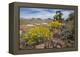 Mule Ears Formation and Wildflowers in Big Bend National Park-Larry Ditto-Framed Premier Image Canvas