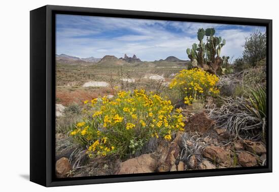 Mule Ears Formation and Wildflowers in Big Bend National Park-Larry Ditto-Framed Premier Image Canvas