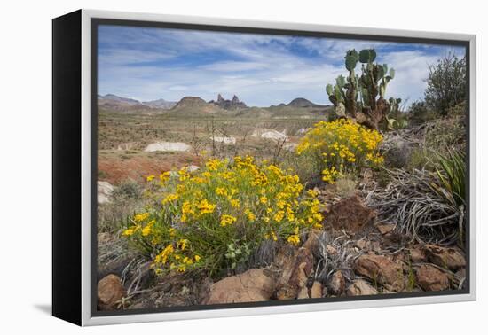 Mule Ears Formation and Wildflowers in Big Bend National Park-Larry Ditto-Framed Premier Image Canvas