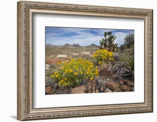 Mule Ears Formation and Wildflowers in Big Bend National Park-Larry Ditto-Framed Photographic Print