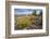 Mule Ears Formation and Wildflowers in Big Bend National Park-Larry Ditto-Framed Photographic Print