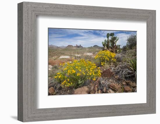 Mule Ears Formation and Wildflowers in Big Bend National Park-Larry Ditto-Framed Photographic Print