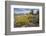 Mule Ears Formation and Wildflowers in Big Bend National Park-Larry Ditto-Framed Photographic Print